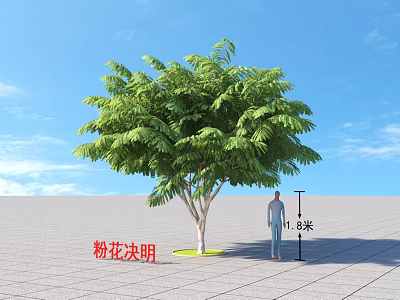 Pink Silk Tree with 11.8 Meters Height and Human Figure under Clear Blue Sky 3d model