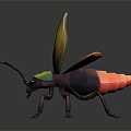 Modern beetle, firefly, beetle, scarab 3d model