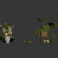 Indoor Potted Plants Collection With Monstera Succulents Hanging Flowers And Wooden Stand