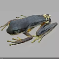 Blue Frog With Transparent Limbs On Black Background Showing Reflection 3d model