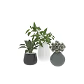 Decorative Ornament Set Featuring Black White Gray Vases with Green Leaves and White Flowers