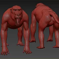 Detailed Monkey Models With Front Back Views And Colorful Facial Markings Red Buttocks