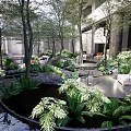 Modern Courtyard Garden Design With Lush Green Plants And Water Feature