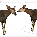 Aokapis 3d model