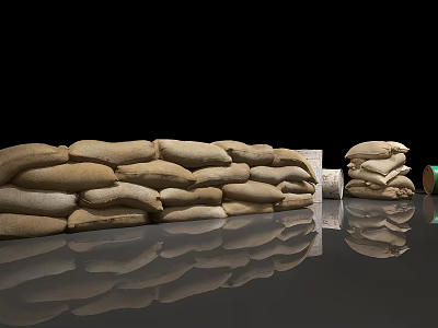 Stacked Sandbags As Sports Equipment On Reflective Floor For Fitness Training 3d model