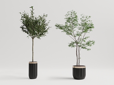 Modern potted plant potted landscape tree 3d model