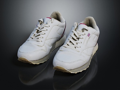 Modern sneaker Travel Shoes Mountaineering Shoes Casual Shoes Basketball Shoes 3d model