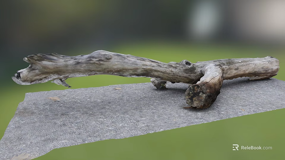 Dry Log Lying on Gray Stone Slab With Green Grass Background 3d model 