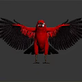 Red Bird With Black Spread Wings Standing On Black Background With Reflection