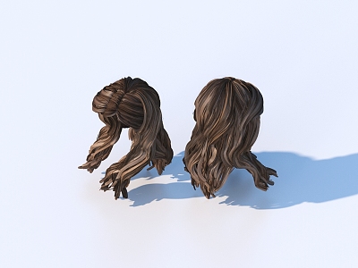 Hair Wig Hair Set model