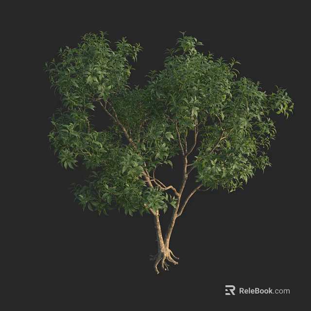 Lush Green Arbor With Dense Foliage And Visible Tree Trunk Roots 3d model