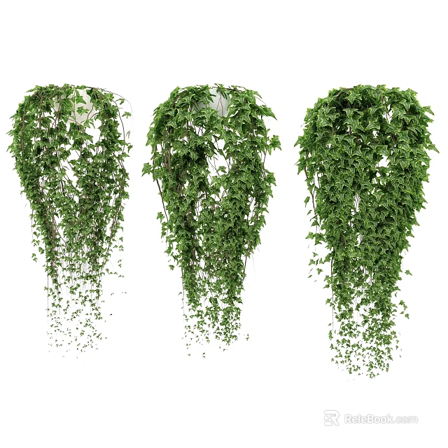 Three Lush Green Hanging Vines With Cascading Leaves For Indoor Decor 3d model 