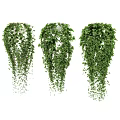 Three Lush Green Hanging Vines With Cascading Leaves For Indoor Decor