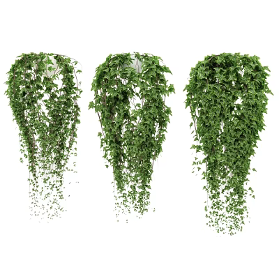 Three Lush Green Hanging Vines With Cascading Leaves For Indoor Decor 3d model