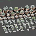 Cartoon Scene With Various Cactus And Succulent Plants In Different Pots