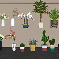 Assorted Bonsai And Potted Plants With Hanging Planters And Colorful Pots