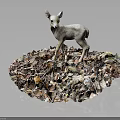 Fawn Standing On A Pile Of Various Colored Leaves In Natural Environment