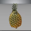 Fresh Ripe Pineapple with Vibrant Green Leaves and Golden Yellow Skin as Juicy Tropical Fruit