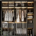 Modern Walk-in Closet With Glass Doors Hanging Clothes Storage And LED Lighting