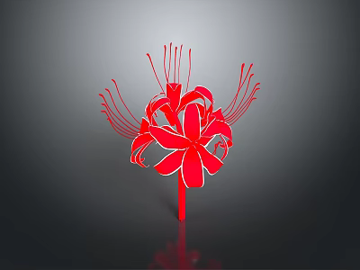 Red Sea Anemone With Long Slender Tentacles On Dark Background With Reflection 3d model