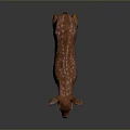 Realistic 3D Fawn Model With Brown Coat And White Spots Standing On Gray Background