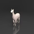 White Llama 3D Model Standing With Soft Shiny Fur On Black Background 3d model