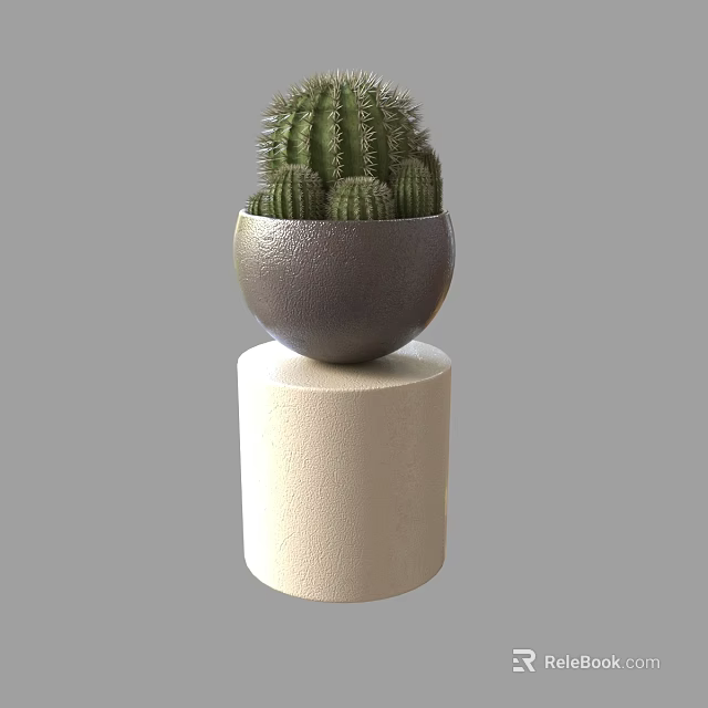 Cactus Potted Plant In Dark Gray Bowl Shaped Pot On Beige Cylindrical Base 3d model 