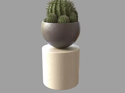 Cactus Potted Plant In Dark Gray Bowl Shaped Pot On Beige Cylindrical Base 3d model
