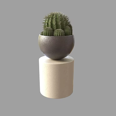 Cactus Potted Plant In Dark Gray Bowl Shaped Pot On Beige Cylindrical Base 3d model