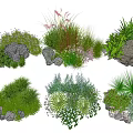 Diverse Garden Plants With Grasses Rocks And Flowering Herbs In Landscaping