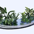 Assorted Lush Green Plants Arrangement On Circular Platform With Tropical Leaves