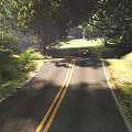 Rural Road Infrastructure With Two Lane Pavement Yellow Double Solid Lines Curb And Green Vegetation