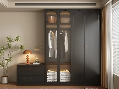 Modern Black Wardrobe With Glass Doors Hanging Shirts Folded Towels And Table Lamp 3d model