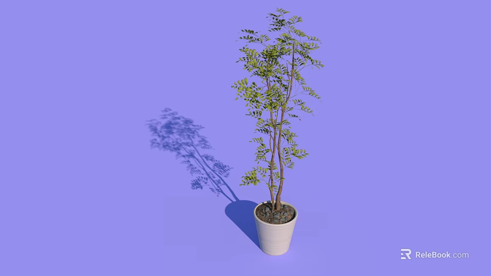 Bonsai Potted Plant With Green Leaves Brown Trunk In White Pot On Purple Background 3d model 