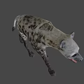Realistic Spotted Hyena 3D Model With Open Mouth Walking Pose 3d model