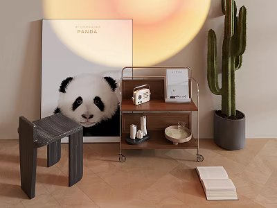 Modern Indoor Storage Shelf with Panda Poster Cactus and Books in Room 3d model