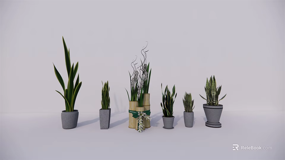 Potted Bonsai Plants In Various Styles Different Sizes With Decorative Pots And Green Leaves 3d model 