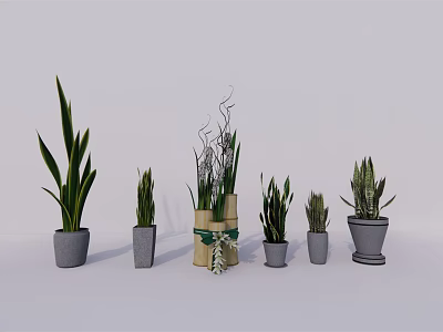 Potted Bonsai Plants In Various Styles Different Sizes With Decorative Pots And Green Leaves 3d model