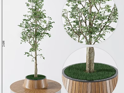 Ground Design With Green Grass Tree And Circular Wooden Planter Base 3d model