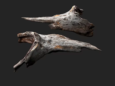 Natural Weathered Stone And Wood Decor Pieces With Rough Textures And Organic Shapes 3d model
