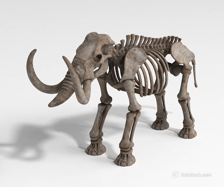 Detailed Reptile Skeleton Fossil Display With Intricate Bone Structure And Natural Texture 3d model 