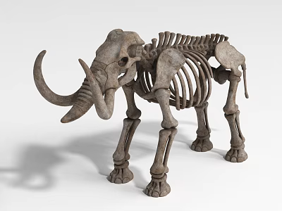 Detailed Reptile Skeleton Fossil Display With Intricate Bone Structure And Natural Texture 3d model