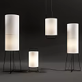 Modern lighting combination floor lamp 3d model