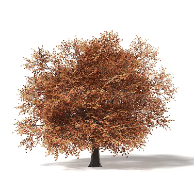 Autumn Arbor Featuring Orange Red Leaves Lush Canopy And Dark Trunk 3d model