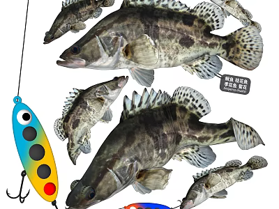 Various Aquatic Fish With Colorful Fishing Lure And Distinctive Body Patterns 3d model