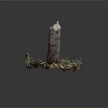 Natural Tree Stump With Candle Like Flame Surrounded By Soil Dry Leaves And Green Plants