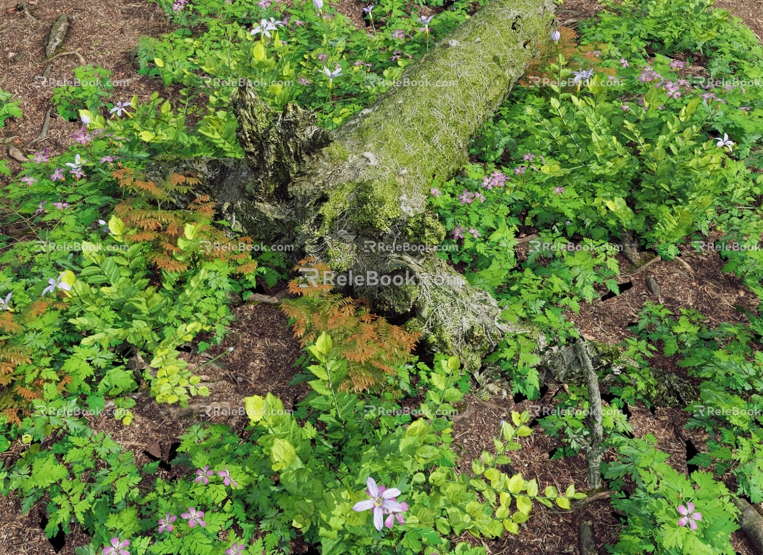 modern field trunk stump root 3d model