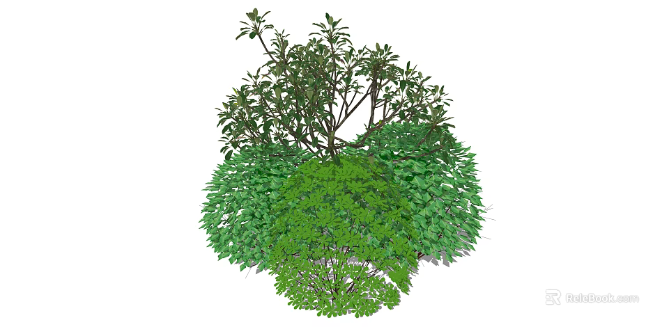 Mixed Green Leafy Shrubs With Diverse Foliage For Garden Landscape Design Projects And Ideas 3d model 
