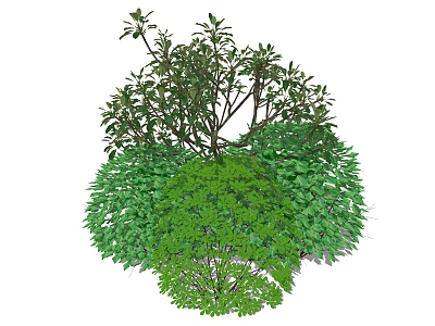 Mixed Green Leafy Shrubs With Diverse Foliage For Garden Landscape Design Projects And Ideas 3d model