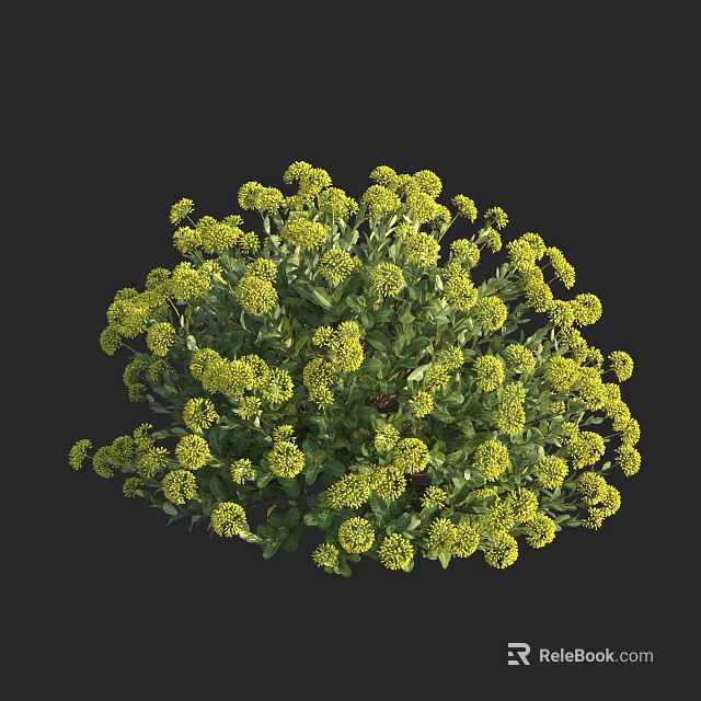 Vibrant Yellow Flowers with Green Leaves in Round Bush Shape Against Dark Background 3d model 